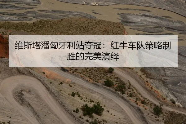 维斯塔潘匈牙利站夺冠：红牛车队策略制胜的完美演绎