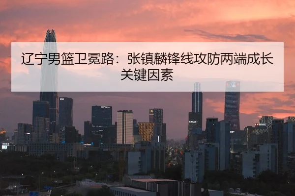 辽宁男篮卫冕路：张镇麟锋线攻防两端成长关键因素