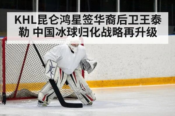 ice hockey defenseman