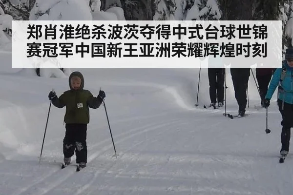 郑肖淮绝杀波茨夺得中式台球世锦赛冠军中国新王亚洲荣耀辉煌时刻